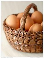 Egg Basket